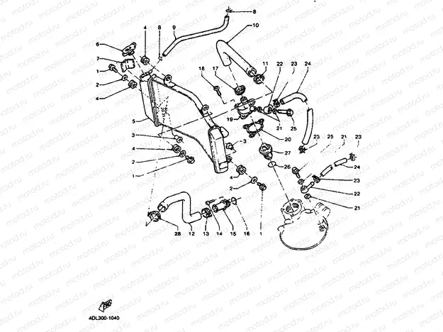 RADIATOR & HOSE