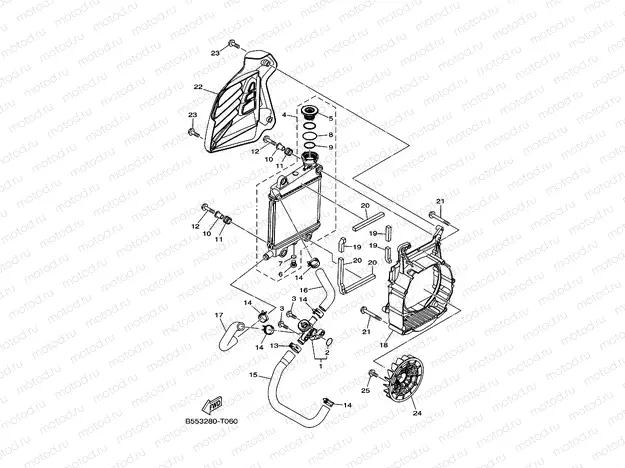 RADIATOR & HOSE