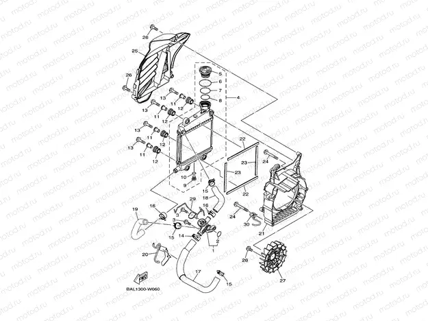 RADIATOR & HOSE