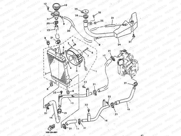 RADIATOR & HOSE
