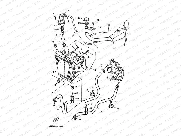 RADIATOR & HOSE