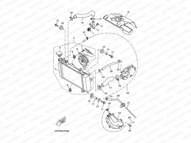 RADIATOR & HOSE