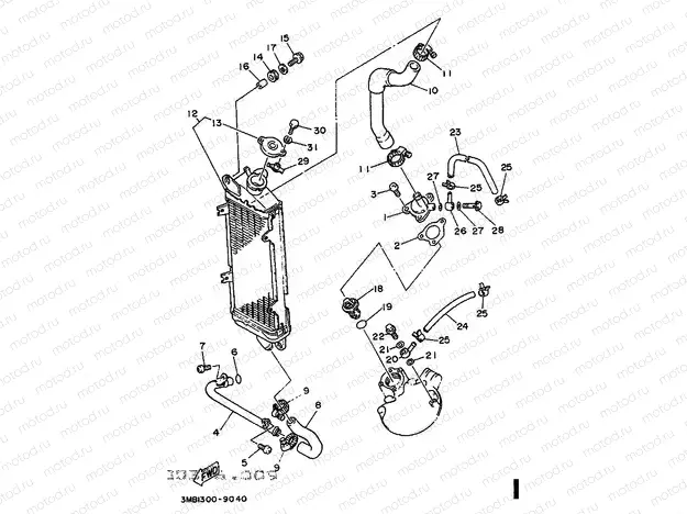 RADIATOR & HOSE