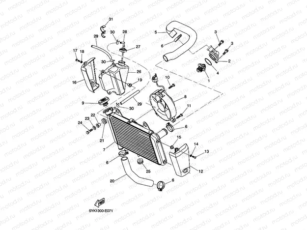 RADIATOR & HOSE
