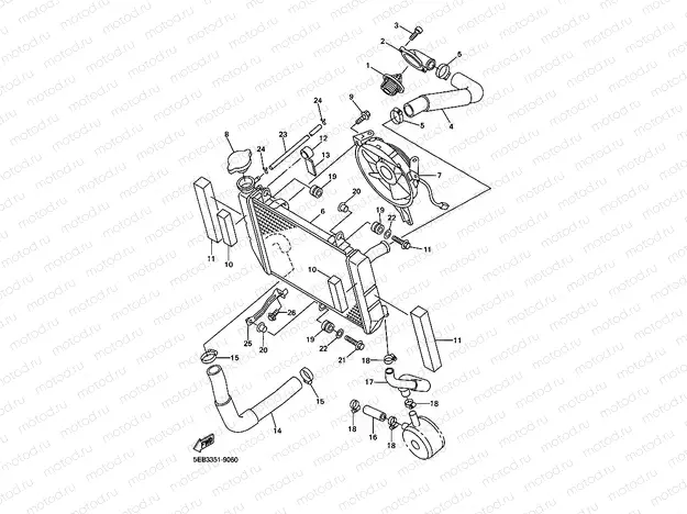 RADIATOR & HOSE