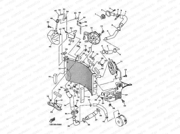 RADIATOR & HOSE