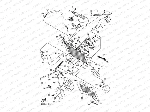 RADIATOR & HOSE