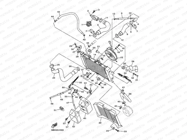 RADIATOR & HOSE