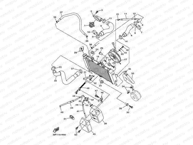 RADIATOR & HOSE