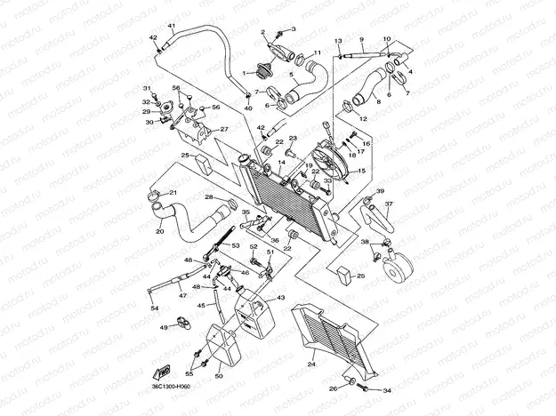 RADIATOR & HOSE