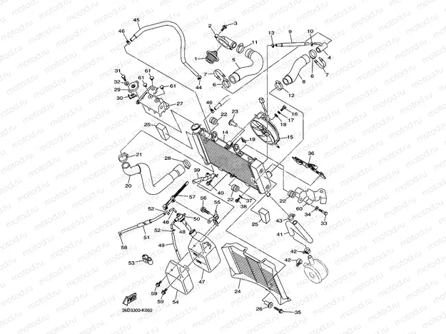 RADIATOR & HOSE
