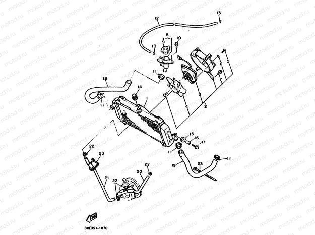 RADIATOR & HOSE