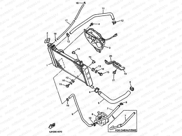 RADIATOR & HOSE