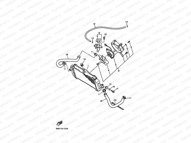 RADIATOR & HOSE