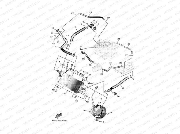 RADIATOR & HOSE