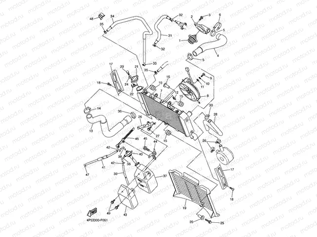 RADIATOR & HOSE
