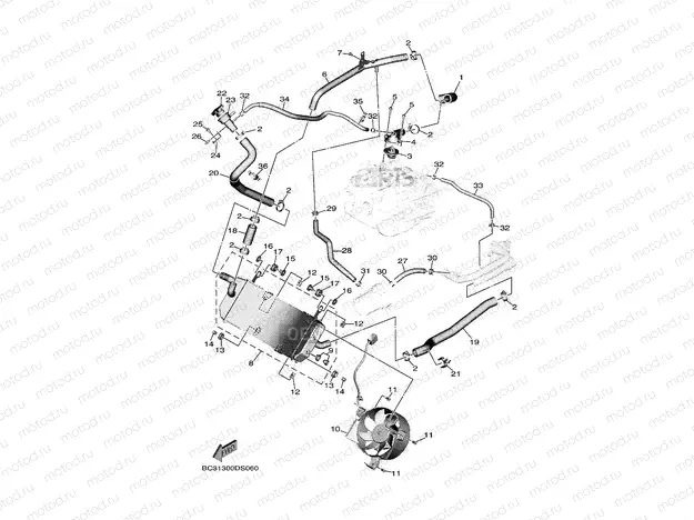 RADIATOR & HOSE