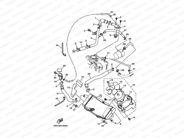 RADIATOR & HOSE