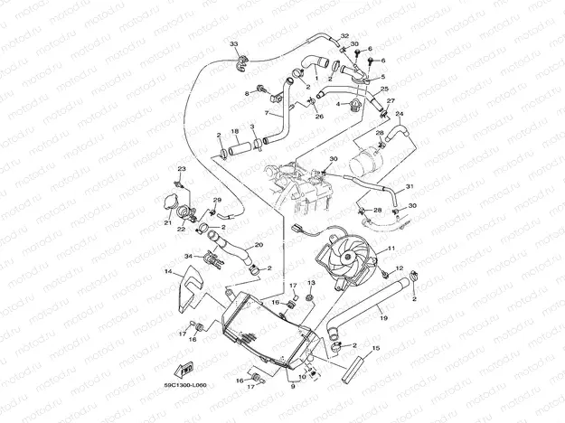 RADIATOR & HOSE