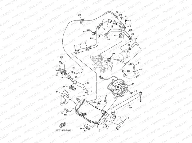 RADIATOR & HOSE