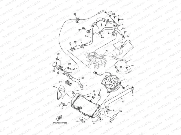 RADIATOR & HOSE
