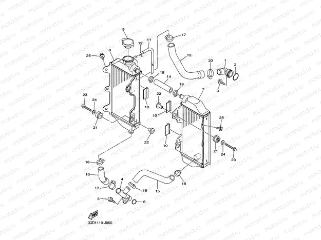 RADIATOR & HOSE