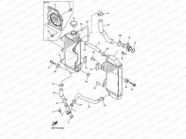 RADIATOR & HOSE