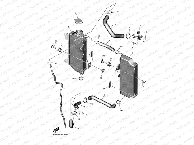 RADIATOR & HOSE