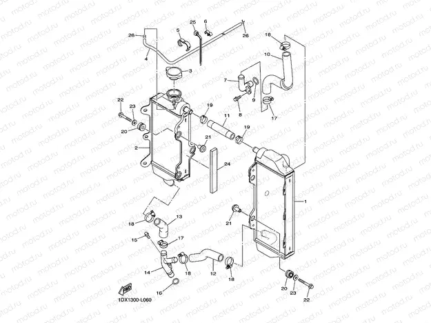 RADIATOR & HOSE