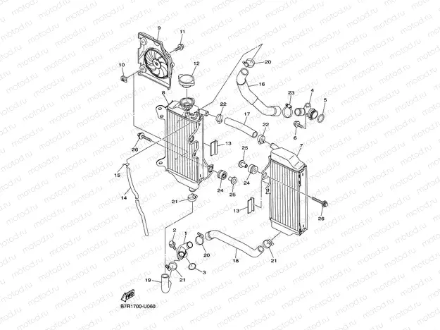 RADIATOR & HOSE