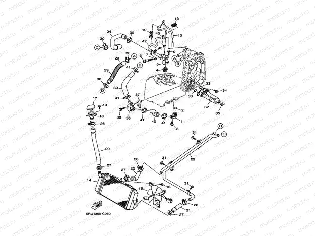 RADIATOR & HOSE