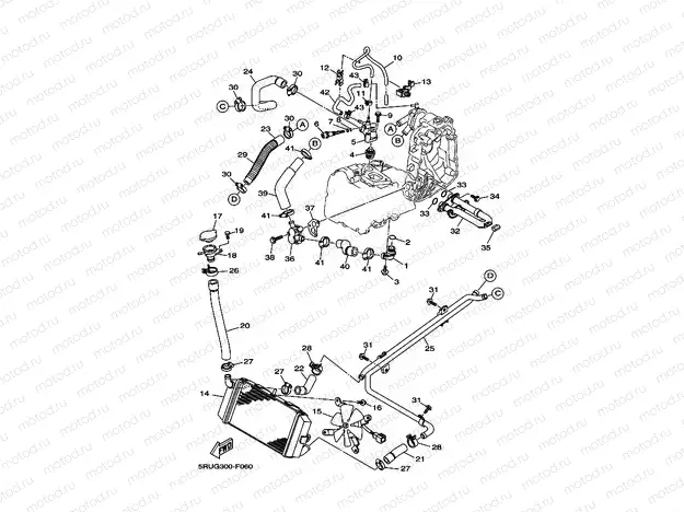 RADIATOR & HOSE