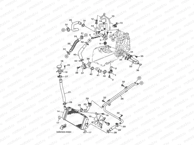 RADIATOR & HOSE