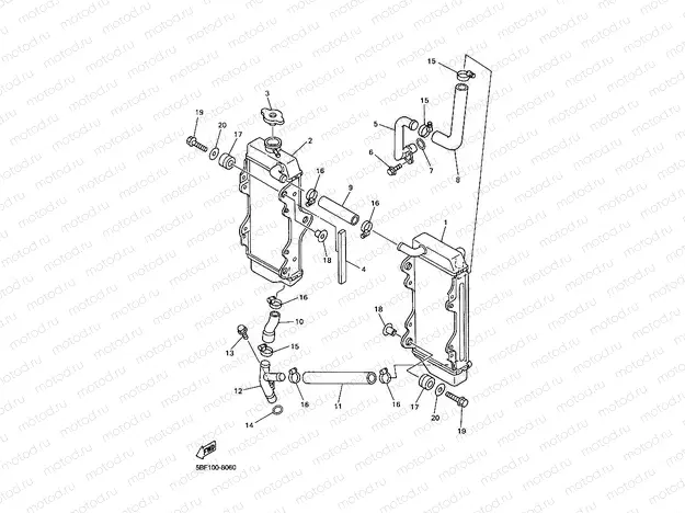 RADIATOR & HOSE