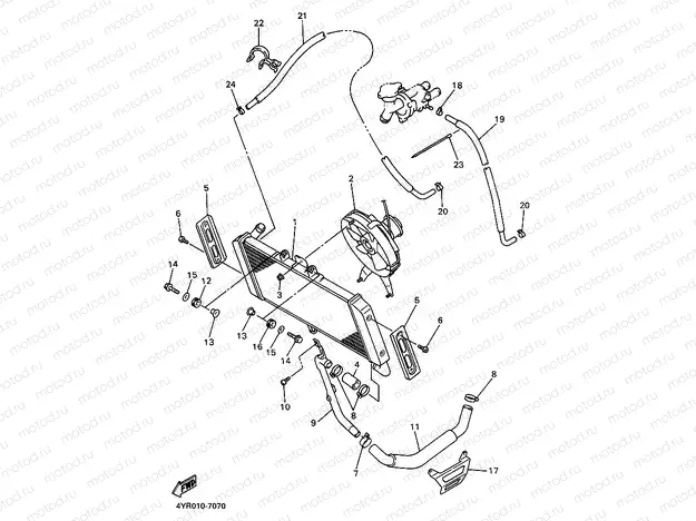 Radiator. Hose