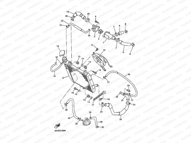 RADIATOR & HOSE