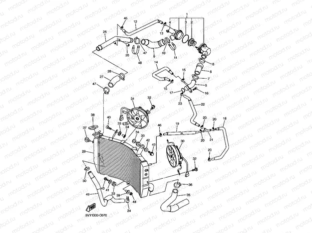 RADIATOR & HOSE