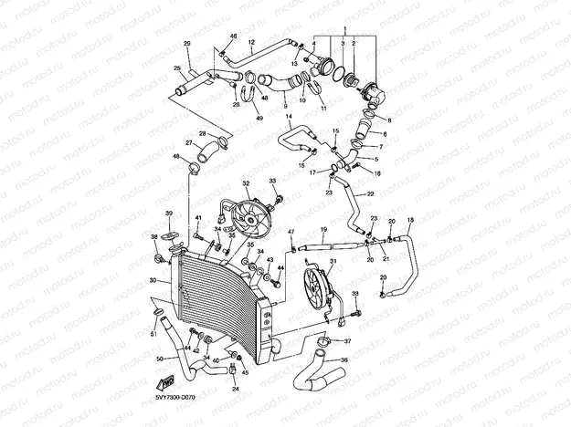 RADIATOR & HOSE
