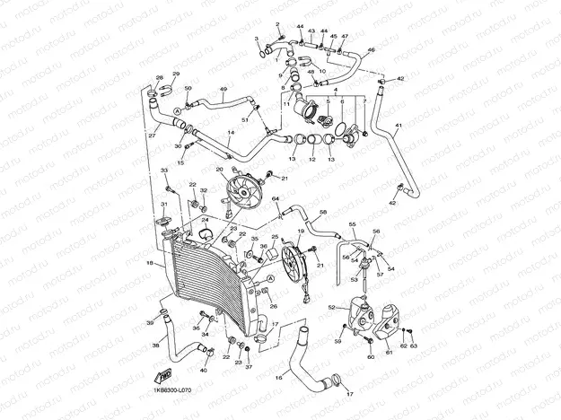 RADIATOR & HOSE