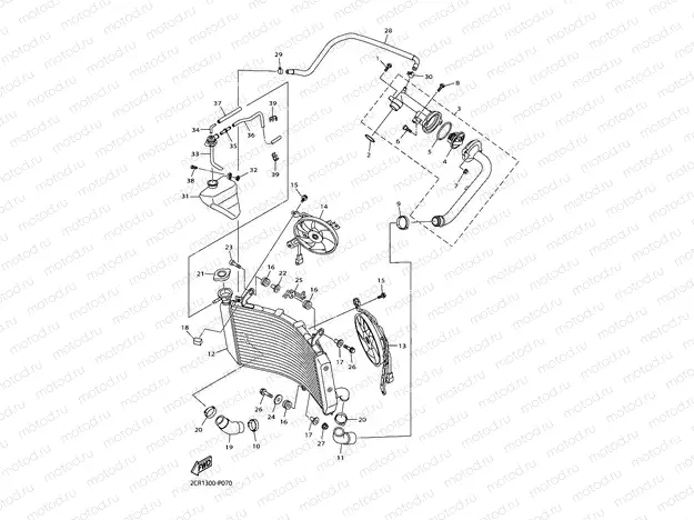 RADIATOR & HOSE