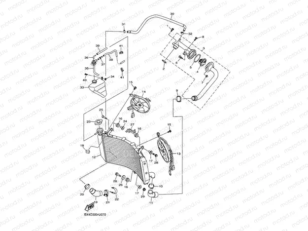RADIATOR & HOSE