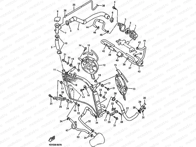 RADIATOR & HOSE
