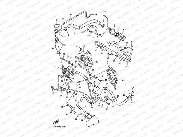 RADIATOR & HOSE