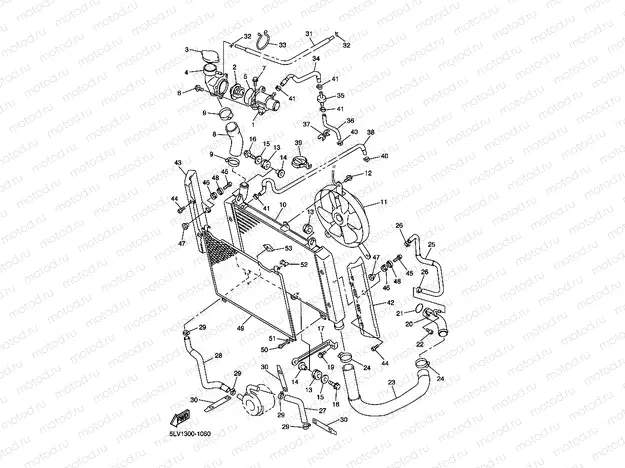 RADIATOR & HOSE