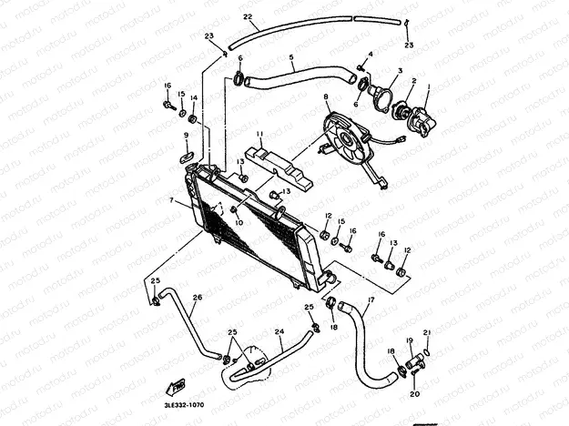 RADIATOR & HOSE