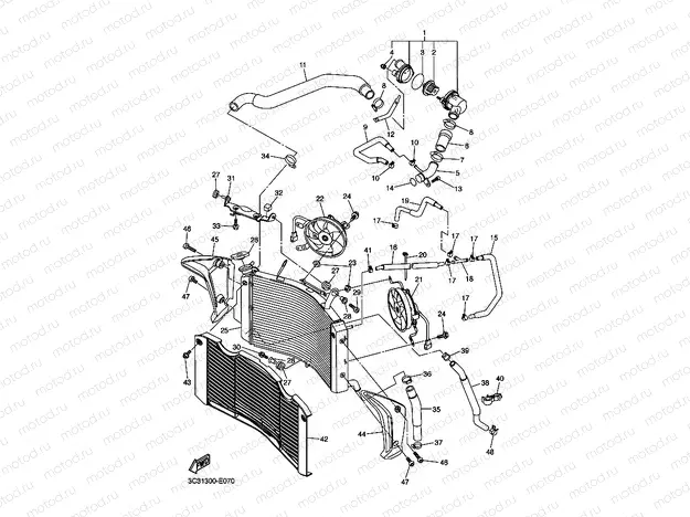 RADIATOR & HOSE