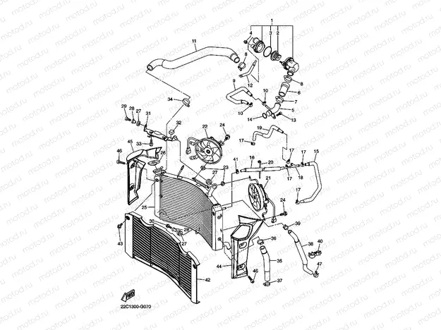 RADIATOR & HOSE