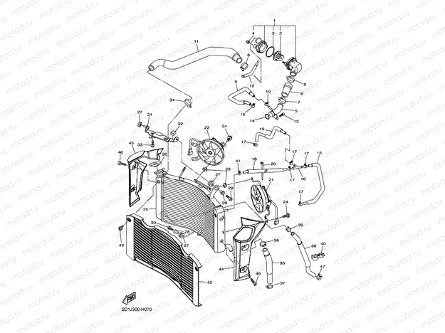 RADIATOR & HOSE