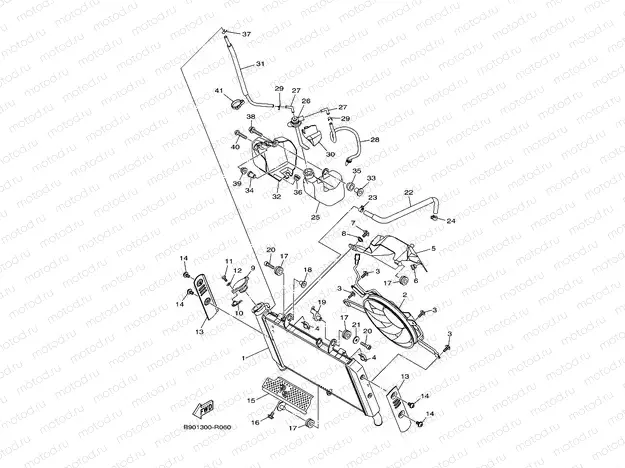 RADIATOR & HOSE
