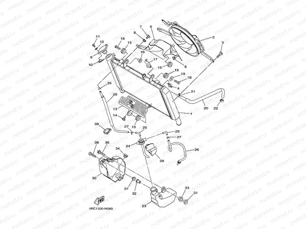 RADIATOR & HOSE